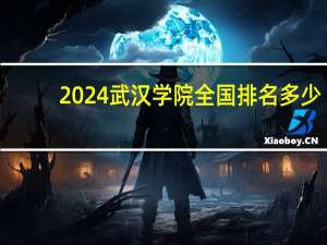 2024武汉学院全国排名多少