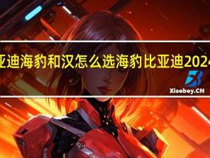 2024比亚迪海豹和汉怎么选 海豹比亚迪2024款报价及图片