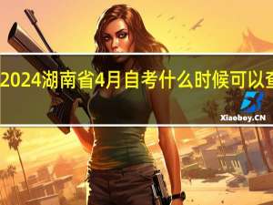 2024湖南省4月自考什么时候可以查成绩