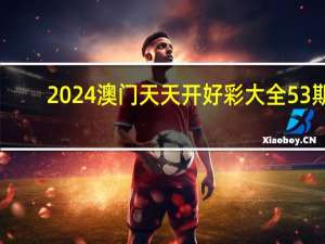2024澳门天天开好彩大全53期_智能AI深度解析_百度移动统计版.223.479