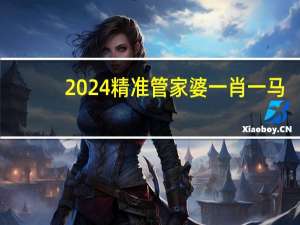 2024精准管家婆一肖一马##辅助数据对比解释解答-3456.V1.177
