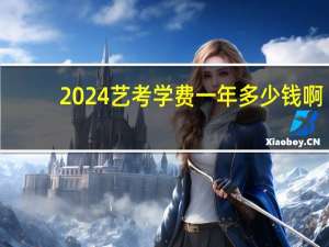 2024艺考学费一年多少钱啊