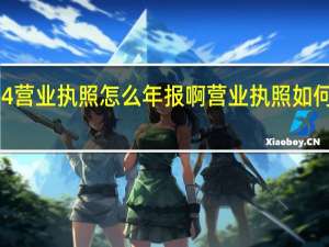2024营业执照怎么年报啊 营业执照如何网上年报