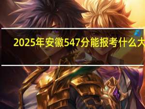 2025年安徽547分能报考什么大学