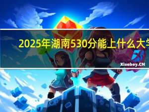 2025年湖南530分能上什么大学