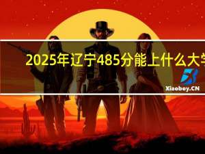 2025年辽宁485分能上什么大学