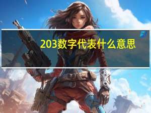203数字代表什么意思