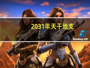 2031年天干地支（天干地支纪年法2020 2030是什么年）