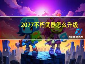 2077不朽武器怎么升级