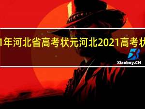 21年河北省高考状元 河北2021高考状元成绩