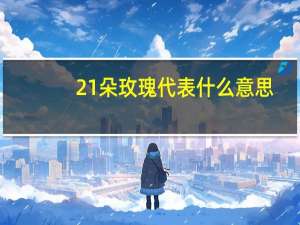 21朵玫瑰代表什么意思