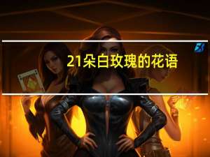 21朵白玫瑰的花语