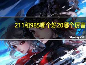 211和985哪个好 哪个厉害