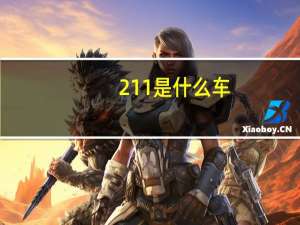 211是什么车