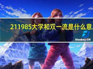 211985大学和双一流是什么意思