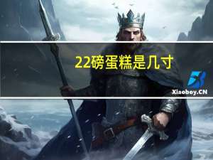 22磅蛋糕是几寸