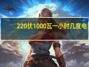 220伏1000瓦一小时几度电（1000瓦一小时几度电）