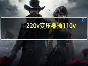 220v变压器插110v