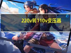 220v转110v变压器