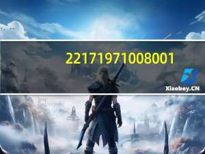 221 7 197 100 8001