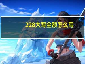228大写金额怎么写