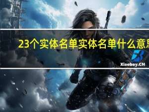 23个实体名单 实体名单 什么意思