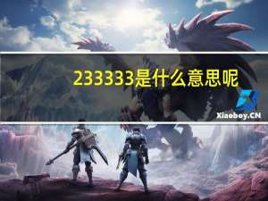 233333是什么意思呢（233333是什么意思）
