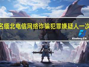 2349名缅北电信网络诈骗犯罪嫌疑人一次性移交我方