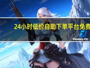 24小时低价自助下单平台免费 - 小熊卡盟平台