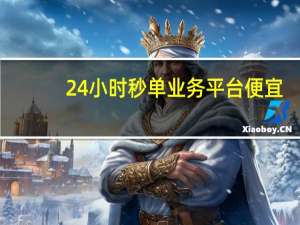 24小时秒单业务平台便宜 - 抖音1元刷1000粉,dy自助商城
