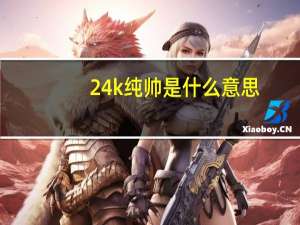 24k纯帅是什么意思