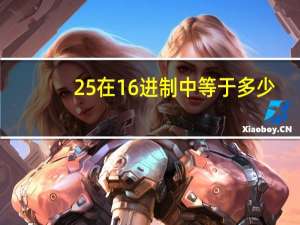 25在16进制中等于多少