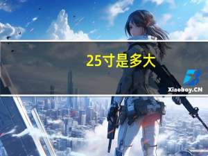 25寸是多大