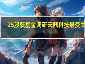 25股获基金调研云鼎科技最受关注