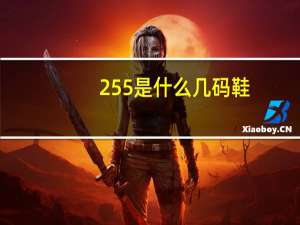 255是什么几码鞋