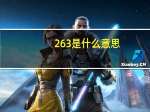 263是什么意思