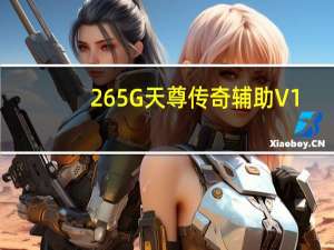 265G天尊传奇辅助 V1.0 绿色免费版（265G天尊传奇辅助 V1.0 绿色免费版功能简介）