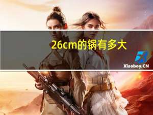 26cm的锅有多大