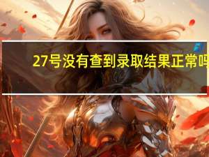 27号没有查到录取结果正常吗