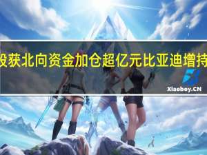 27股获北向资金加仓超亿元比亚迪增持市值最多