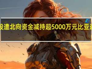 27股遭北向资金减持超5000万元比亚迪遭减持3.98亿元居首