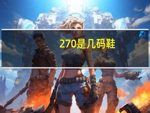 270是几码鞋