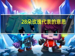 28朵玫瑰代表的意思