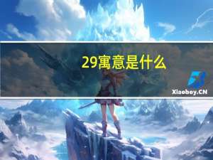 29寓意是什么