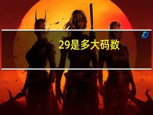 29是多大码数