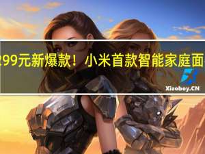 299元新爆款！小米首款智能家庭面板售罄：众筹金额超238万