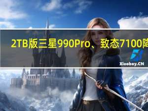 2TB版三星990 Pro、致态7100降价：979、799元！你支持国产吗