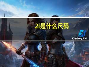2l是什么尺码