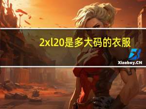2xl 是多大码的衣服