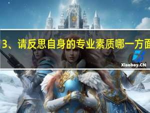 3、请反思自身的专业素质哪一方面较弱，并分析其原因。